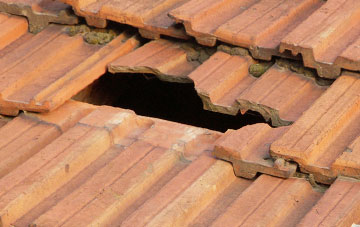 roof repair Churston Ferrers, Devon